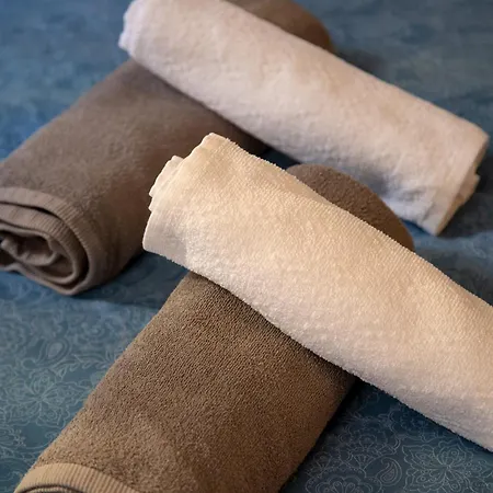 Διαμέρισμα Ca' Casino *